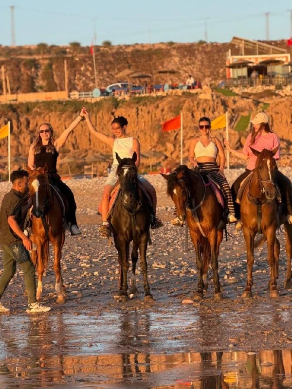 Groupe de quatre cavalières réunies sur la plage