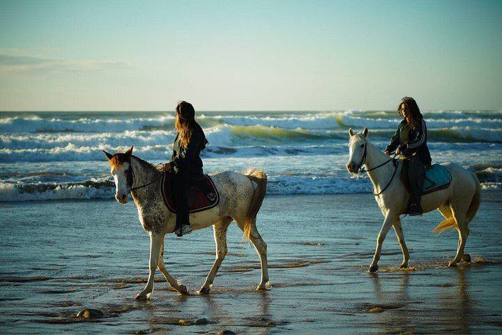 Cheval blanc en mouvement