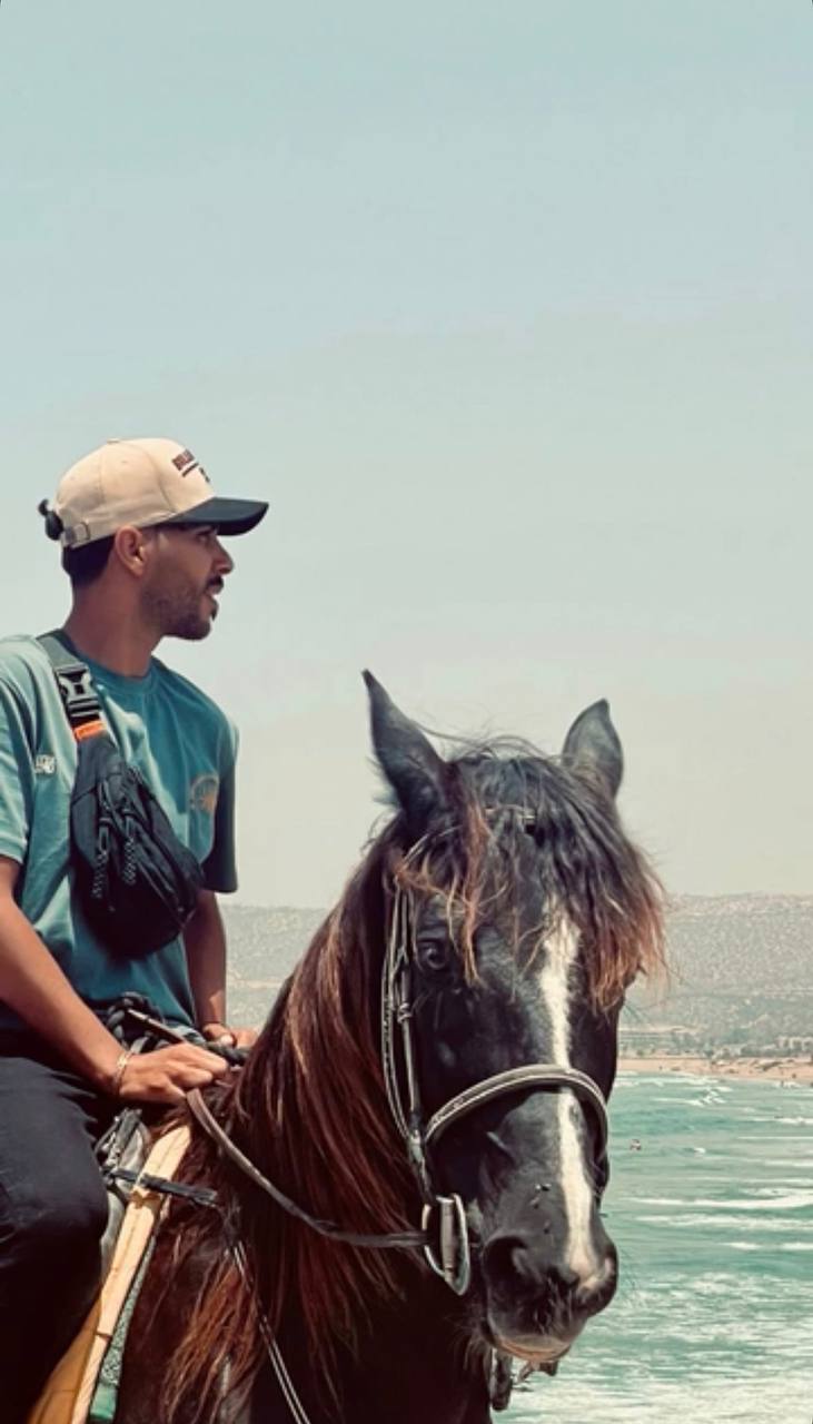 Cavalier sur un cheval noir près de la côte atlantique