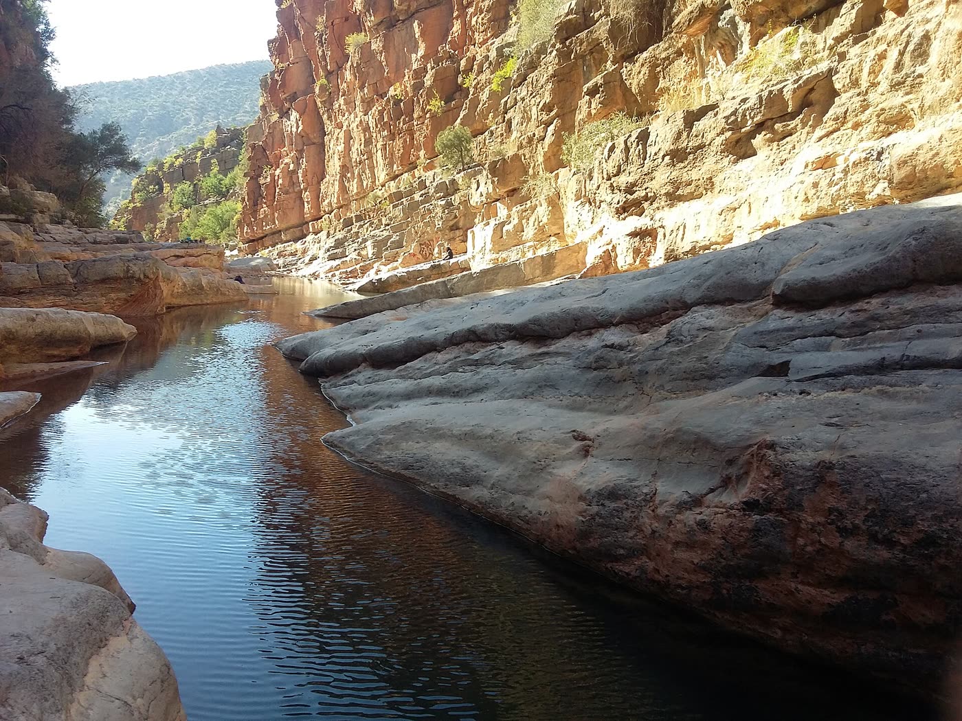 Paysage rocheux et végétation de Paradise Valley près d’Agadir